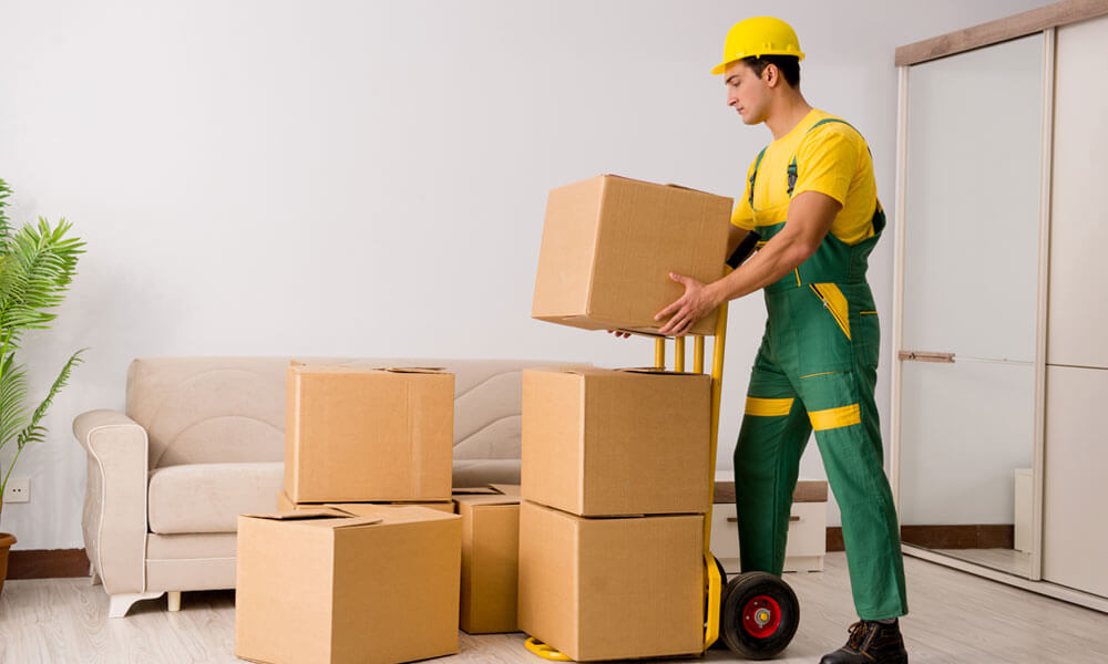 Packers and Movers Services